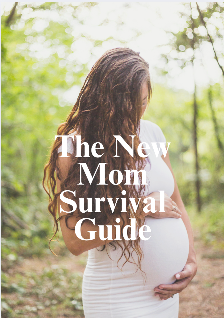 The New Mom Survival Guide