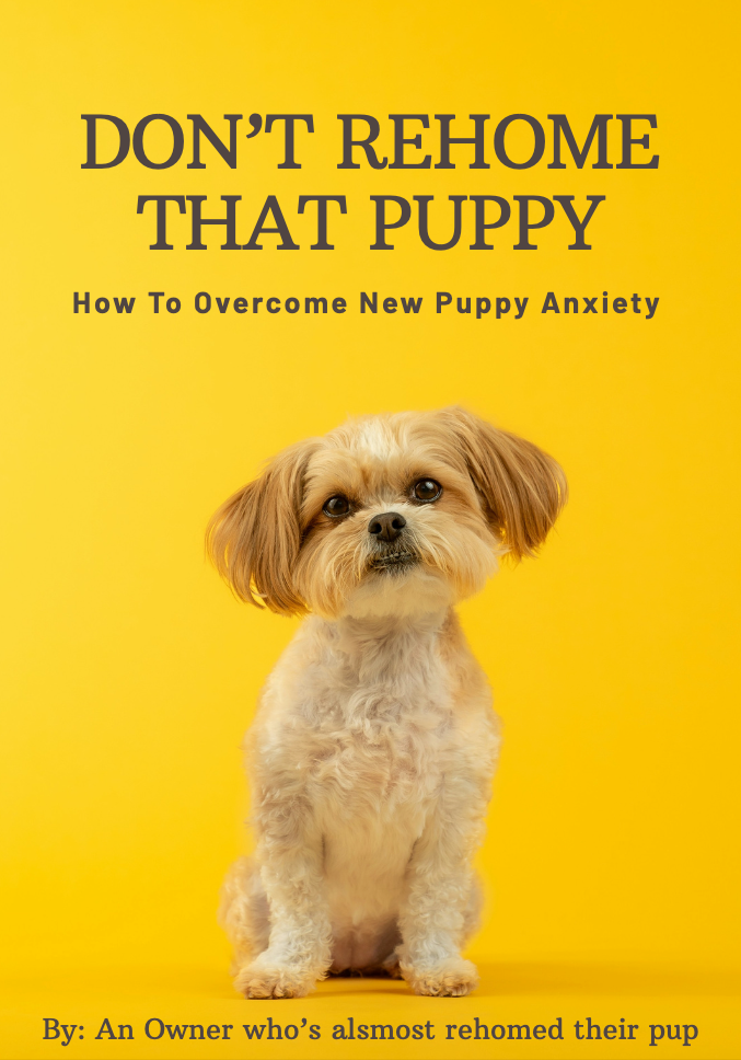 New Puppy Owner Anxiety